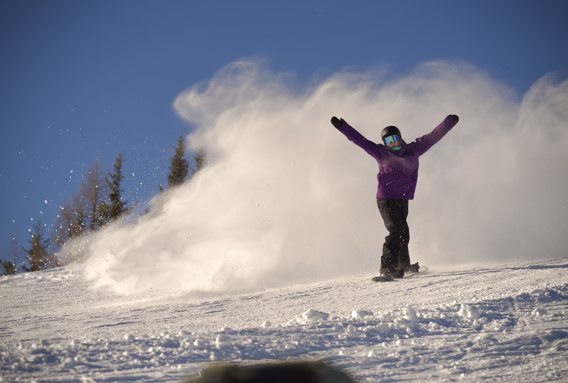 Snowboard portrait